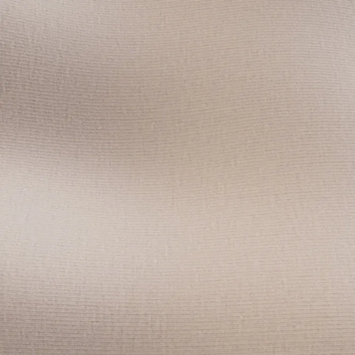 Cotton Jersey fabric