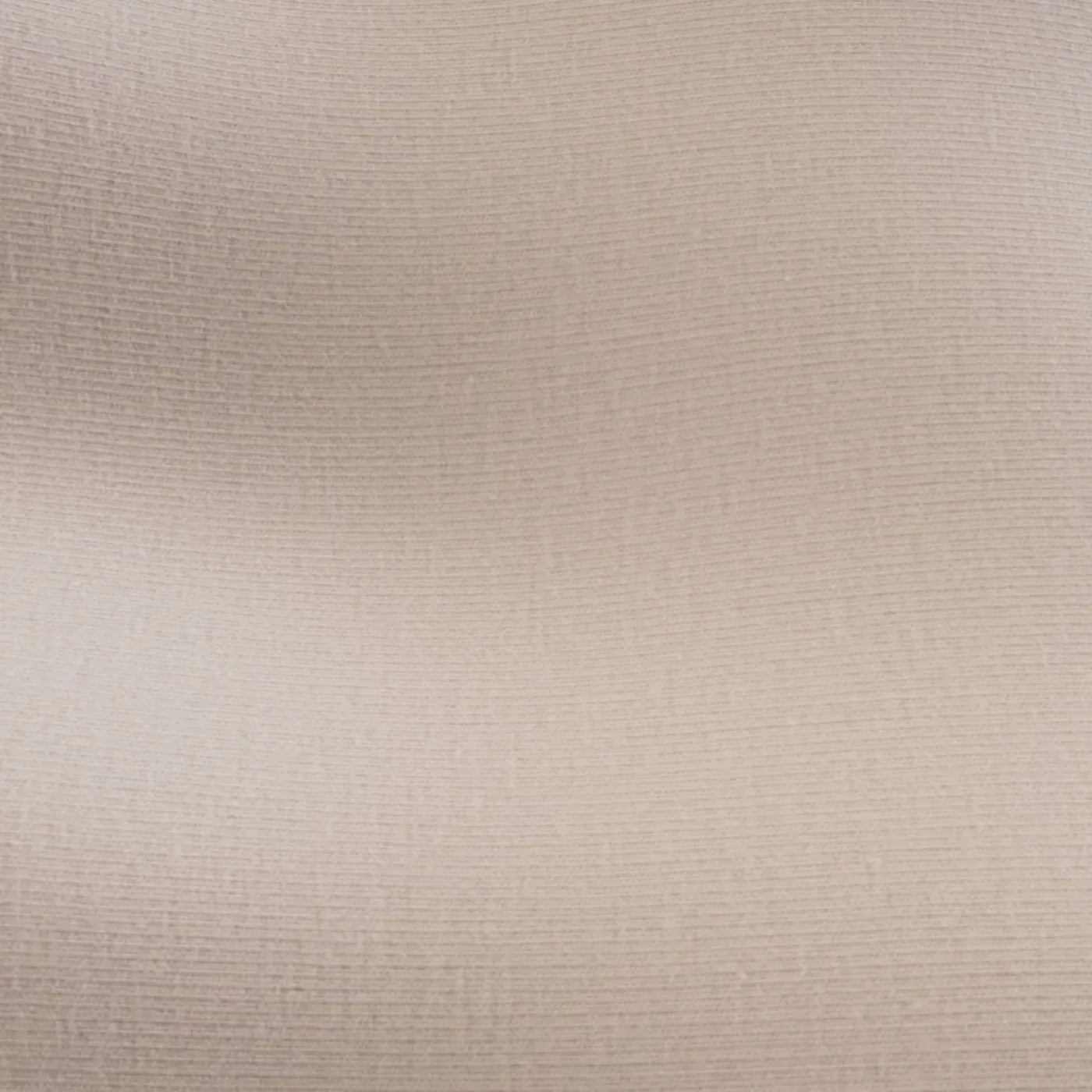 Cotton Jersey fabric, close-up